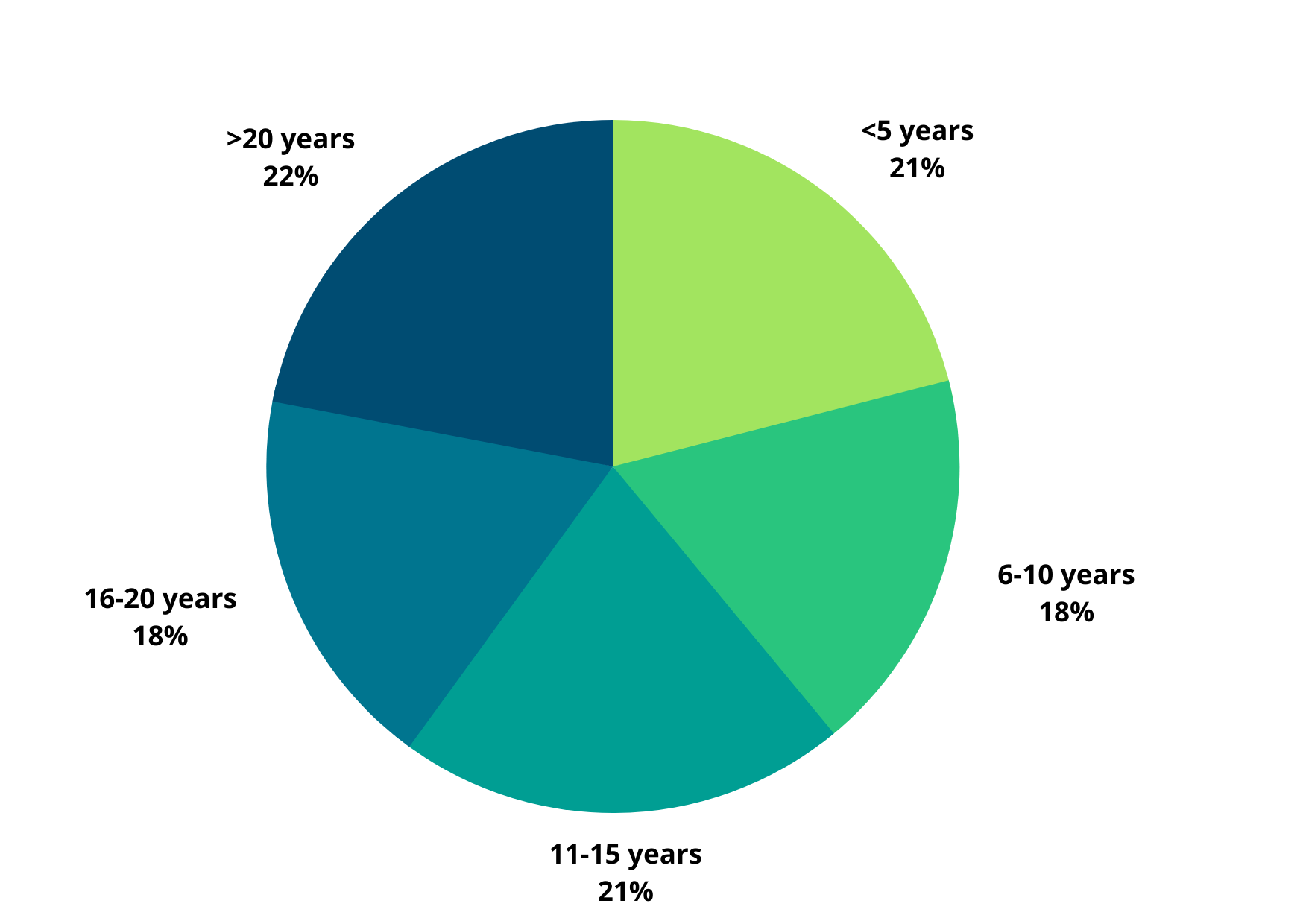 Pie chart showing experience level of cyber professional talent pool